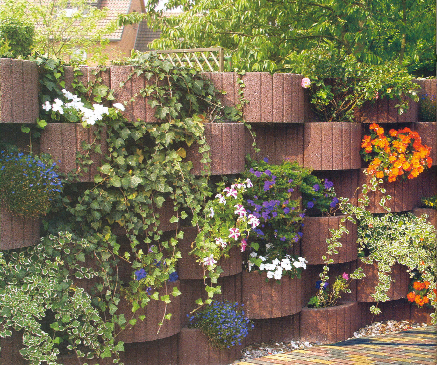 Cascade plant containers