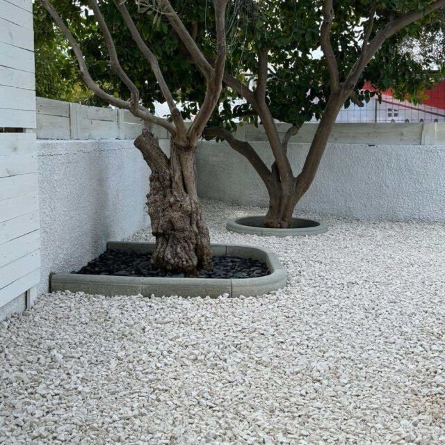 Tree Basins