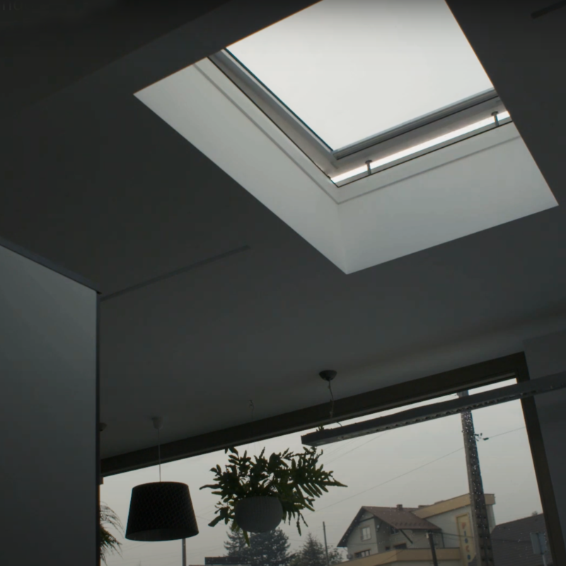 Flat roof window type F